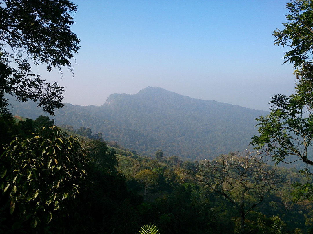 Phu Chi Fa Forest Park-汤县必去景点