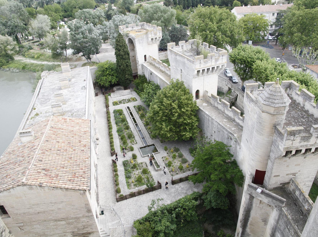 Chateau de Tarascon景点图片