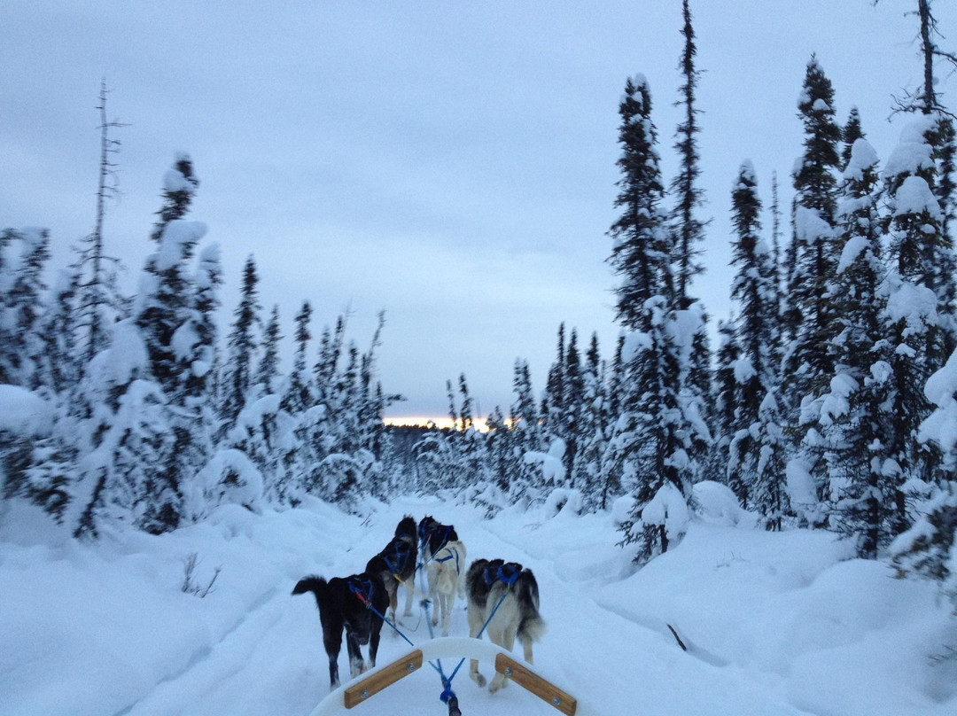 Just Short of Magic-费尔班克斯必去景点