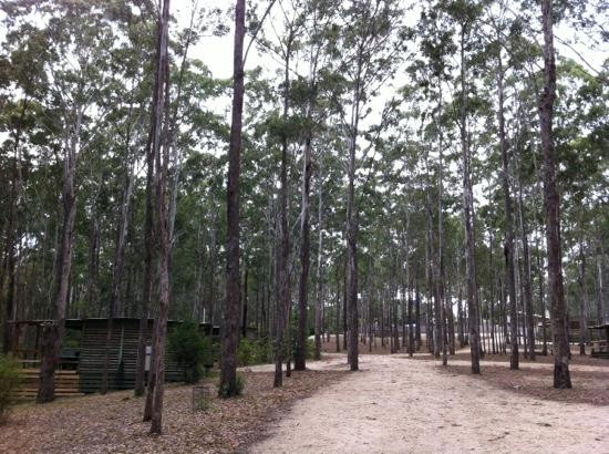 Lakes Entrance Log Cabins