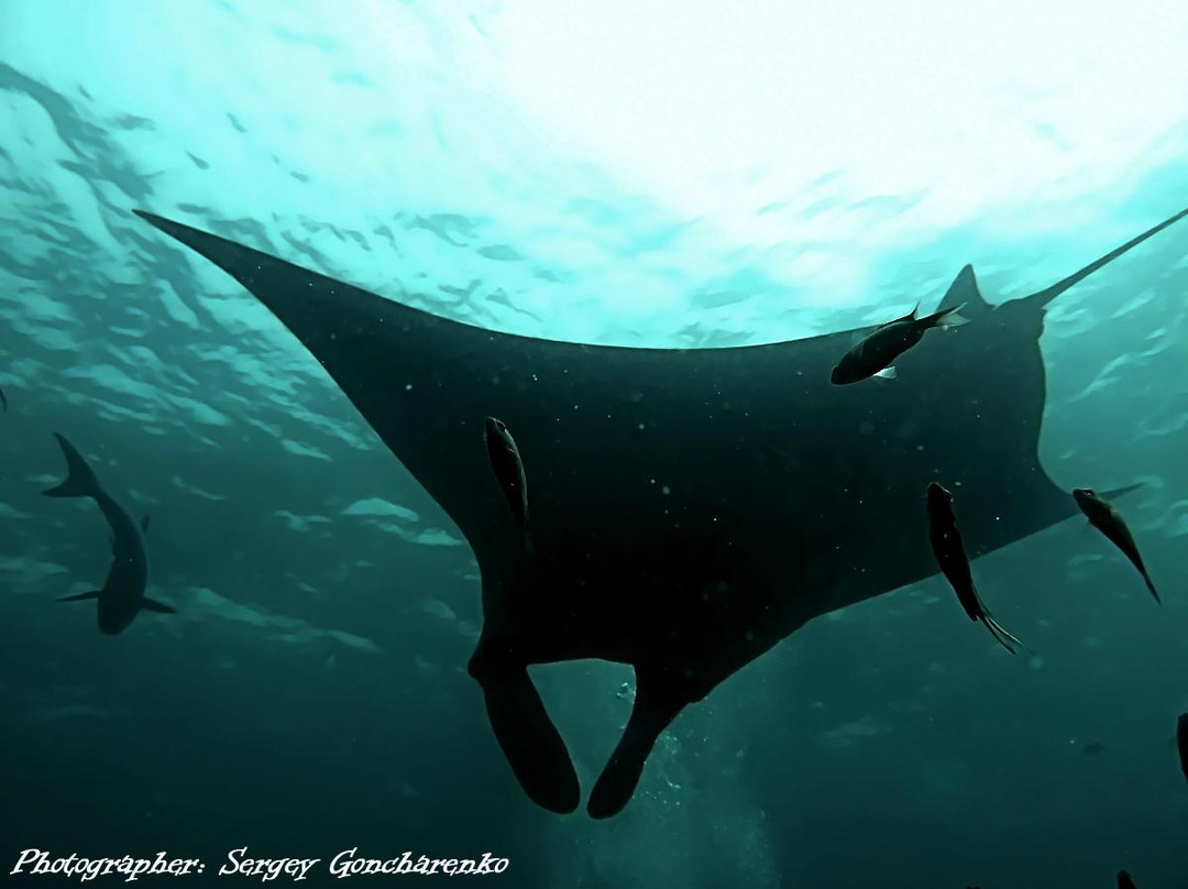 OK Club Diving Center-兰塔岛必去景点