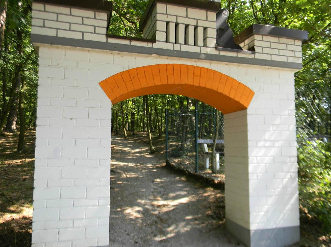 Marchenwald-Burgschwalbach必去景点