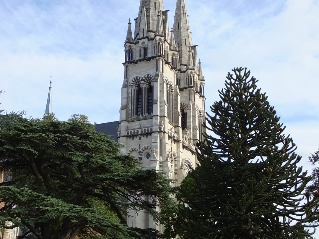 Cathédrale Notre-Dame-de-l'Annonciation景点图片