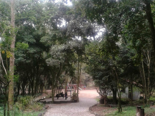 Parque Chico Mendes-Osasco必去景点