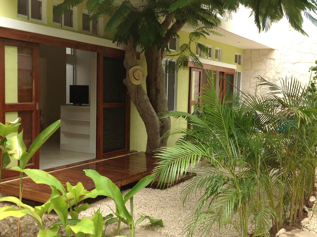 Joaquín Zetina Gasca酒店住宿-Layla Guesthouse