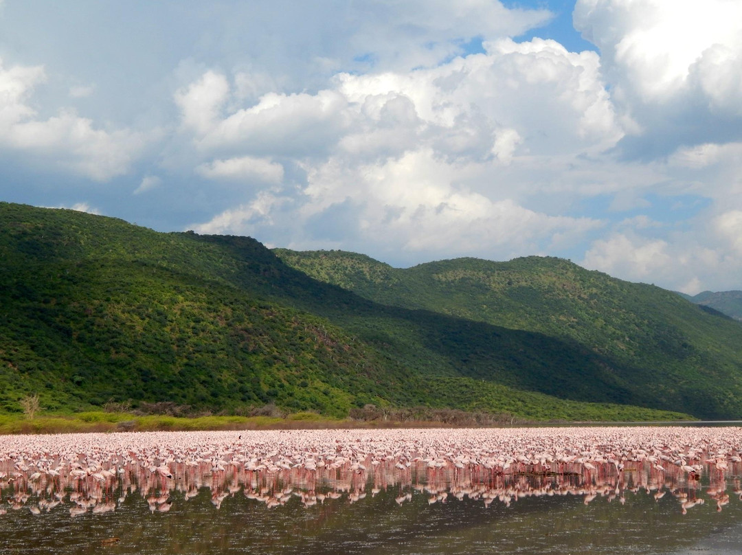 Baringo District旅游攻略图片