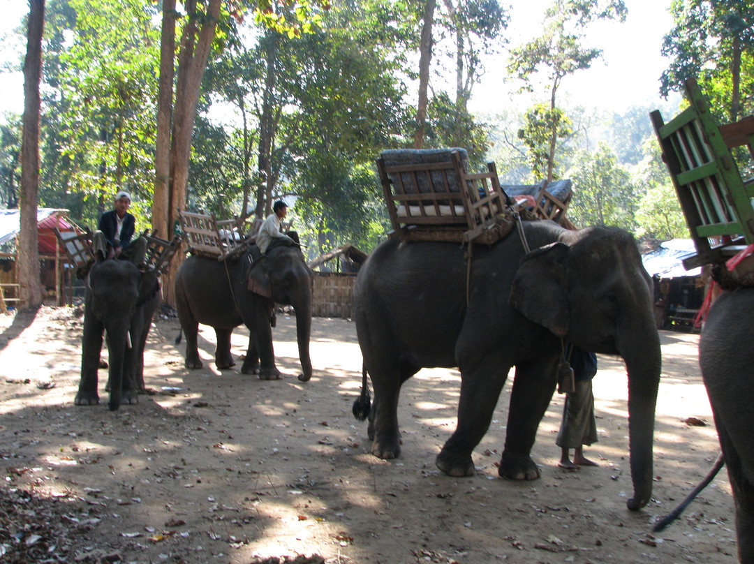 Alaungdaw Kathapa National Park-Sagaing Region必去景点