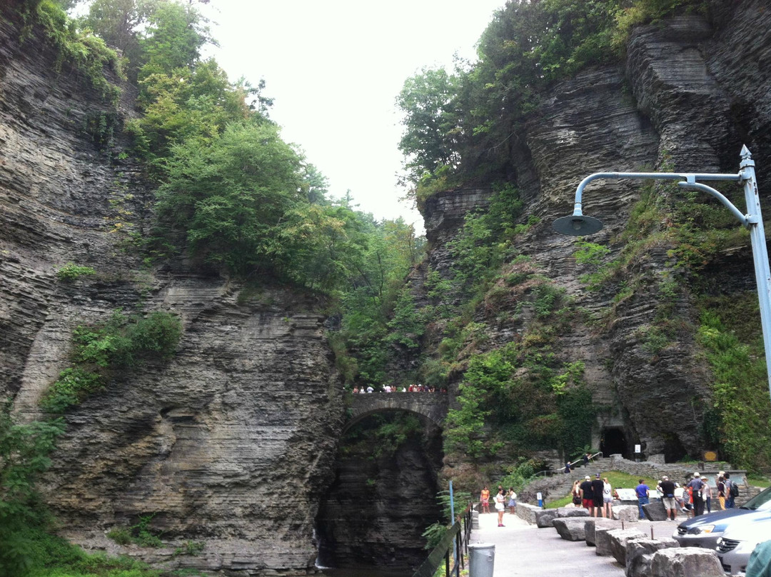 The Tudor Rose Bed & Breakfast主图