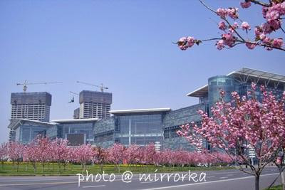 大连星海国际会展中心-大连市必去景点