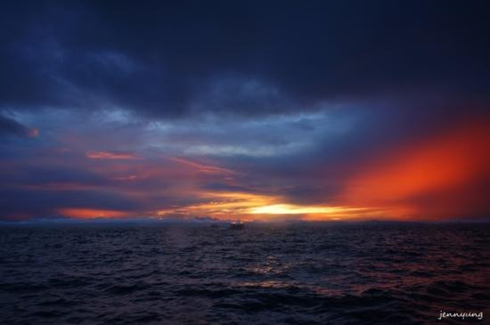 长尾鲨浮潜景点图片