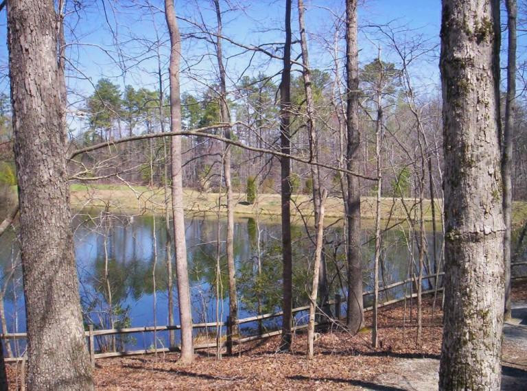 Clemmons Educational State Forest景点图片