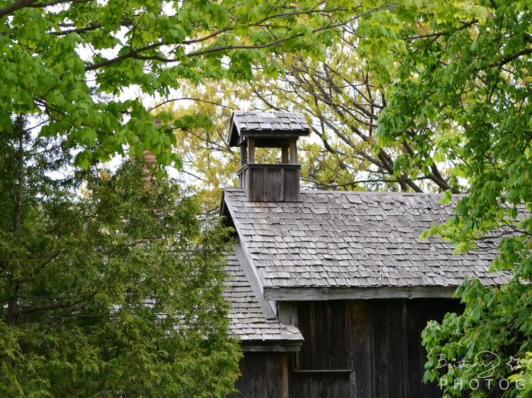 黑溪拓荒村-多伦多必去景点