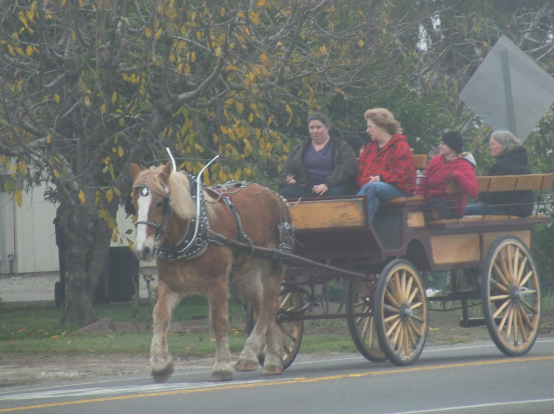Mariposa Stage Line-马里波萨必去景点