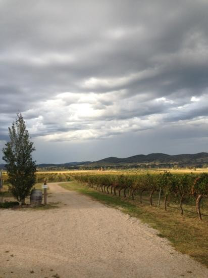 Thistle Hill Organic Winery-马奇必去景点