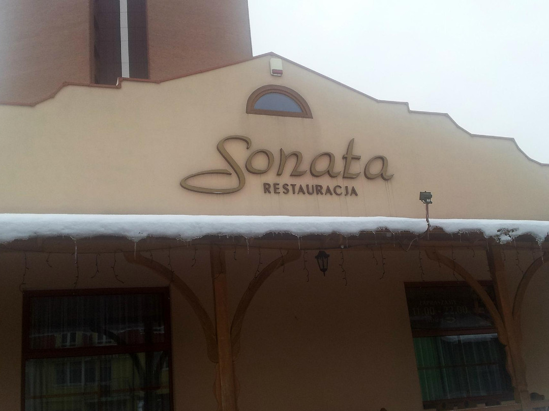 Sonata主图