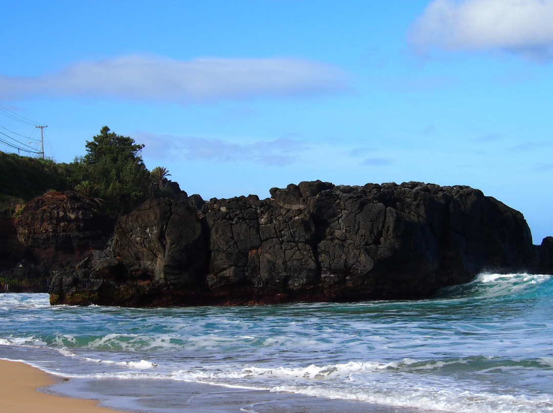 威美亚湾海滨公园-哈雷瓦必去景点