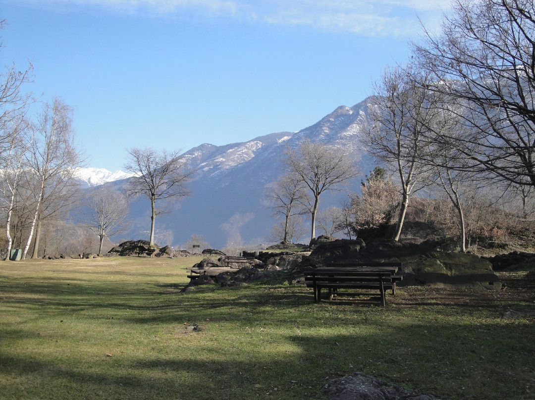 Parco Comunale delle Incisioni Rupestri di Luine景点图片