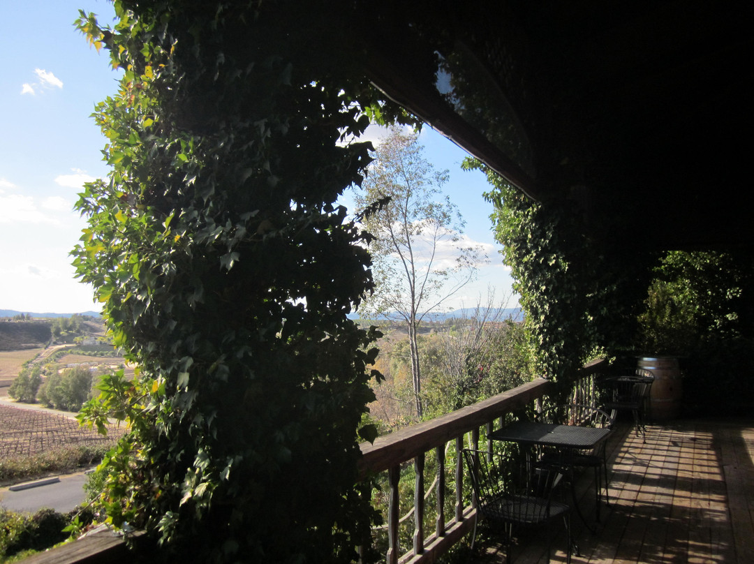 Falkner Winery-特曼库拉必去景点