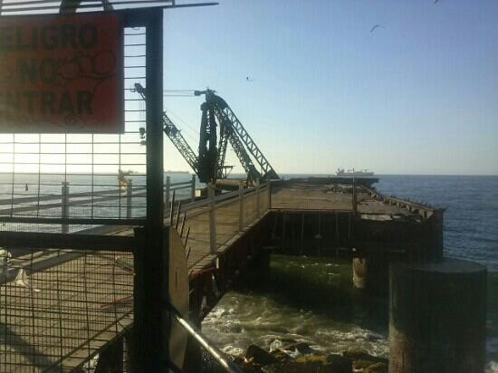 Muelle Vergara-比尼亚德尔马必去景点