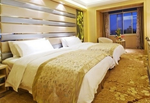 成都望江宾馆宏达贵宾楼主图