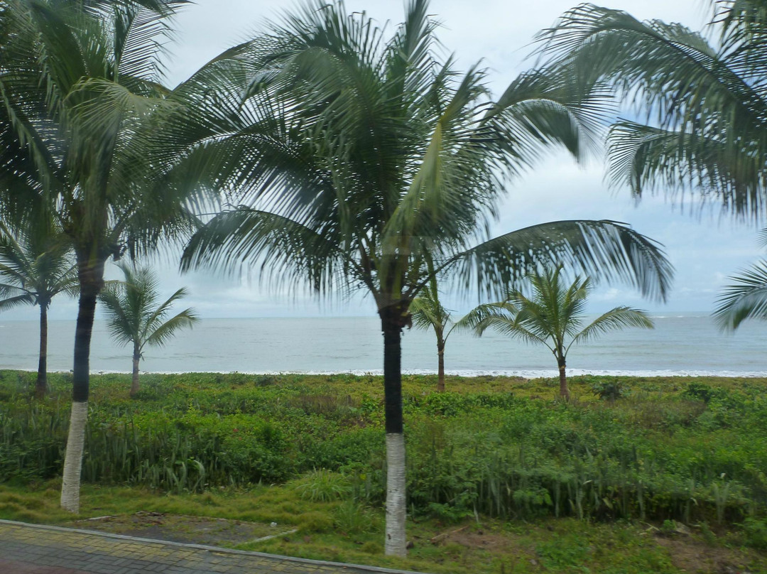 Praia do Espelho-特兰科苏必去景点