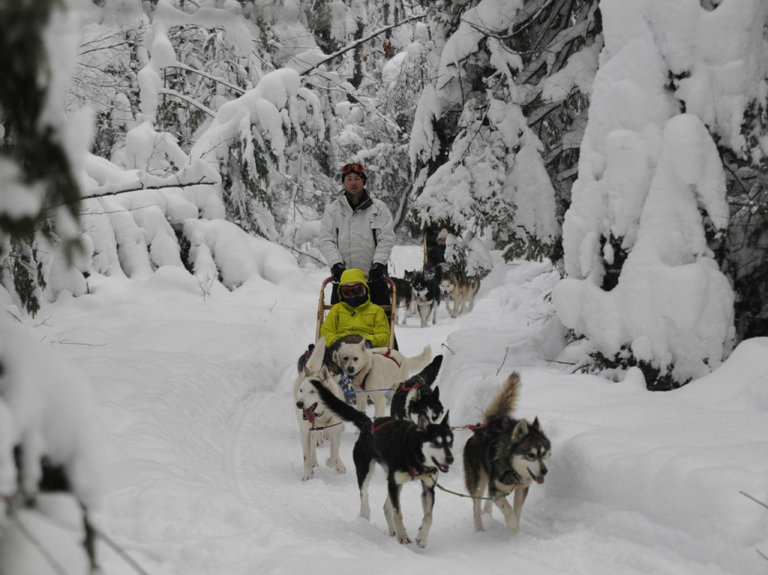 Aventure du Husky-Labelle必去景点