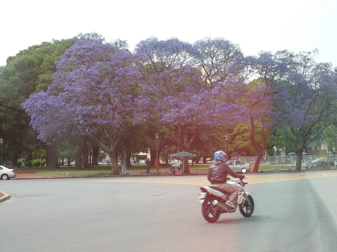 巴勒莫博斯克斯-布宜诺斯艾利斯必去景点