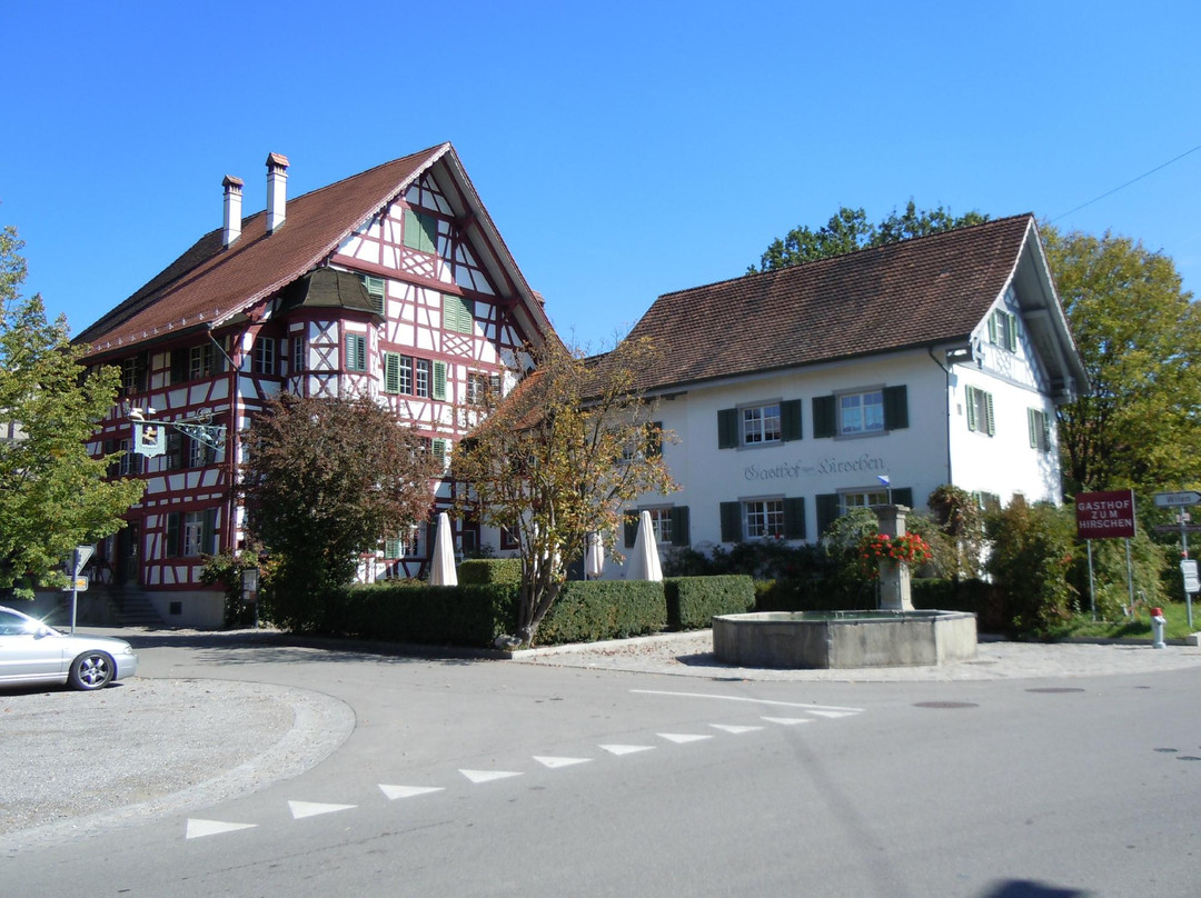 Uesslingen-Buch酒店住宿-Hirschen Stammheim