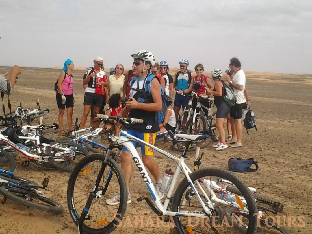 Sahara Dream Tours-伊拉悉迪亚必去景点