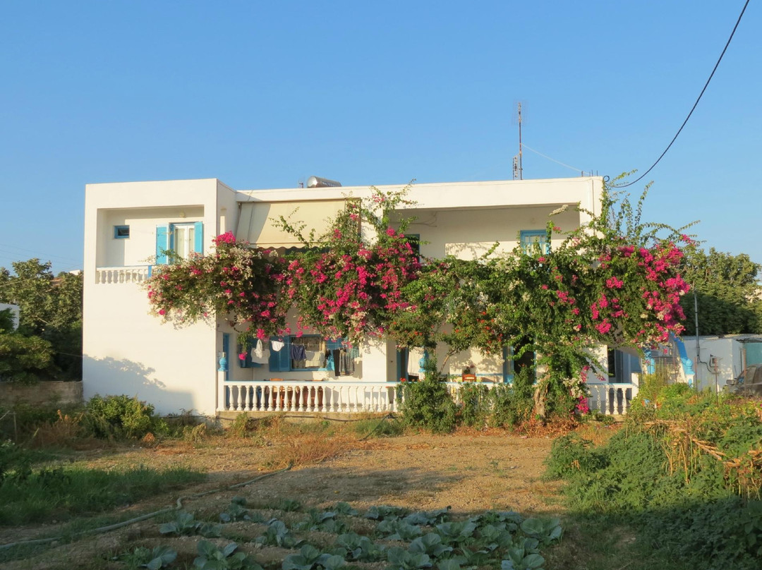 Mira Mare Studios