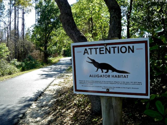 Hugh S. Branyon Backcountry Trail-橙色海湾必去景点