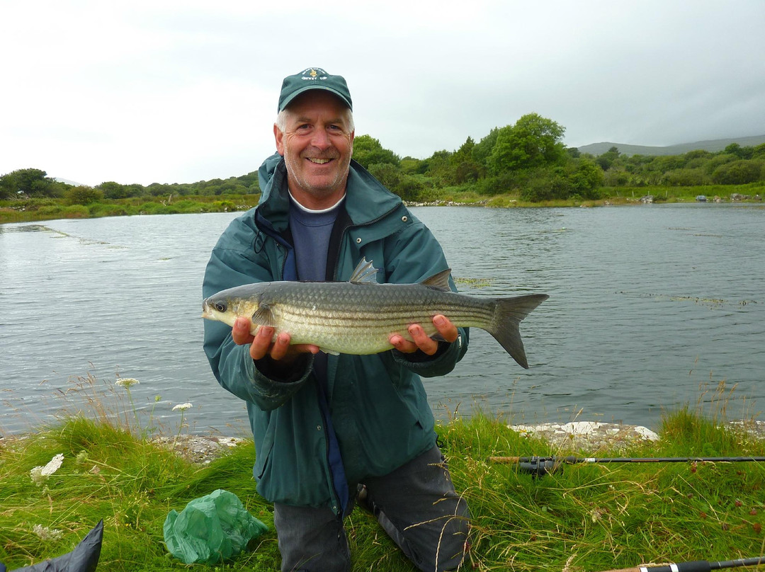 Dromagowlane House主图