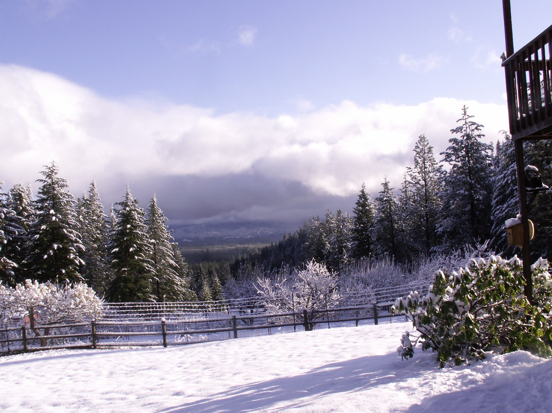 Cedar Springs Bed & Breakfast主图