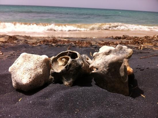 Black Sand Beach-维切克岛必去景点