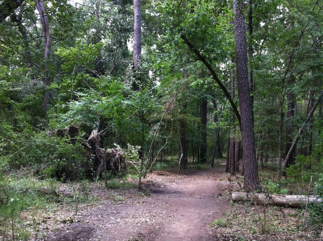 George Mitchell Nature Preserve-伍德兰兹必去景点