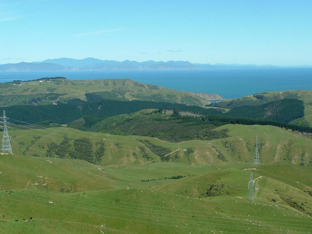 Mount Kaukau景点图片