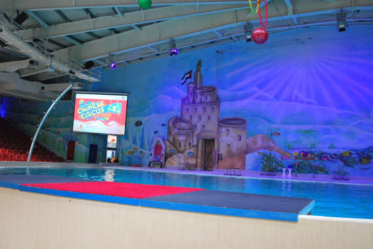 迪拜海豚馆-迪拜必去景点