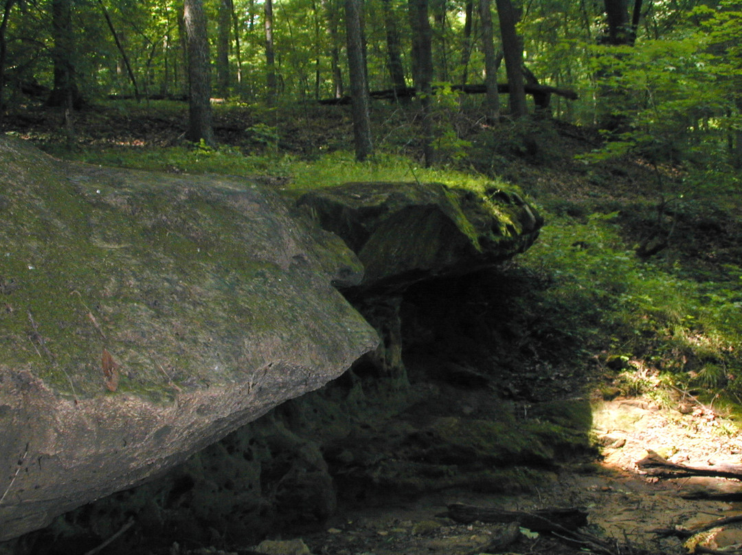 Lacey Keosauqua State Park景点图片