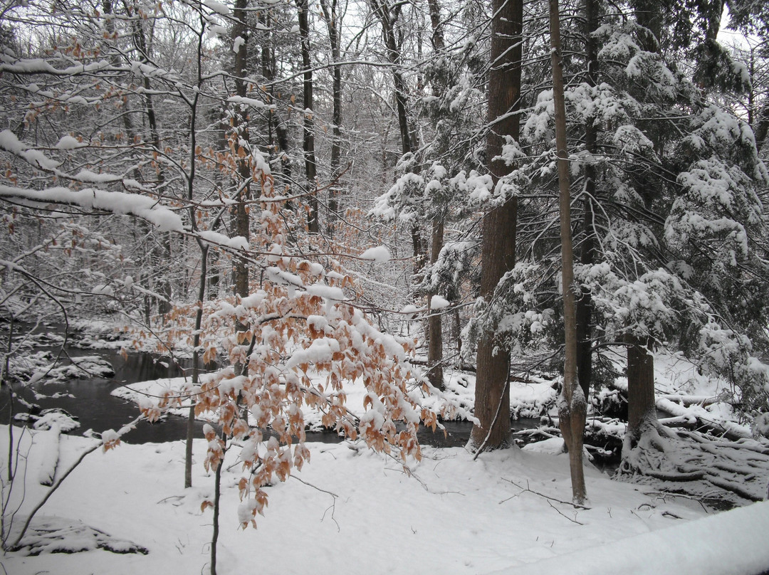 Cunningham Falls State Park-Thurmont必去景点