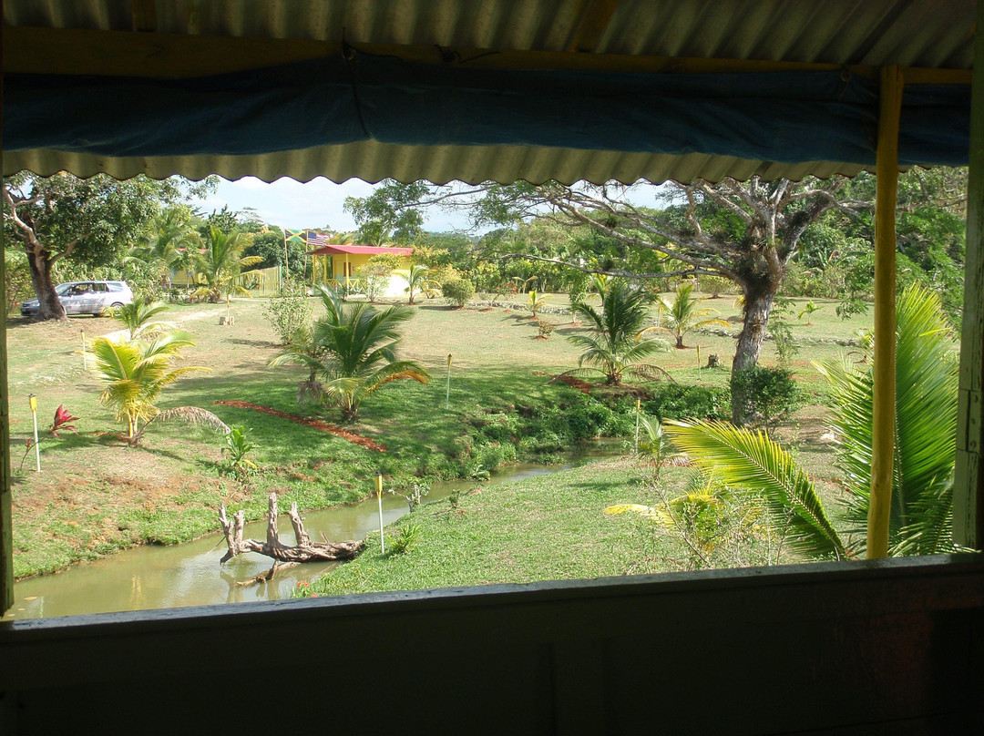 Percy's Riverside Retreat-Orange Bay必去景点