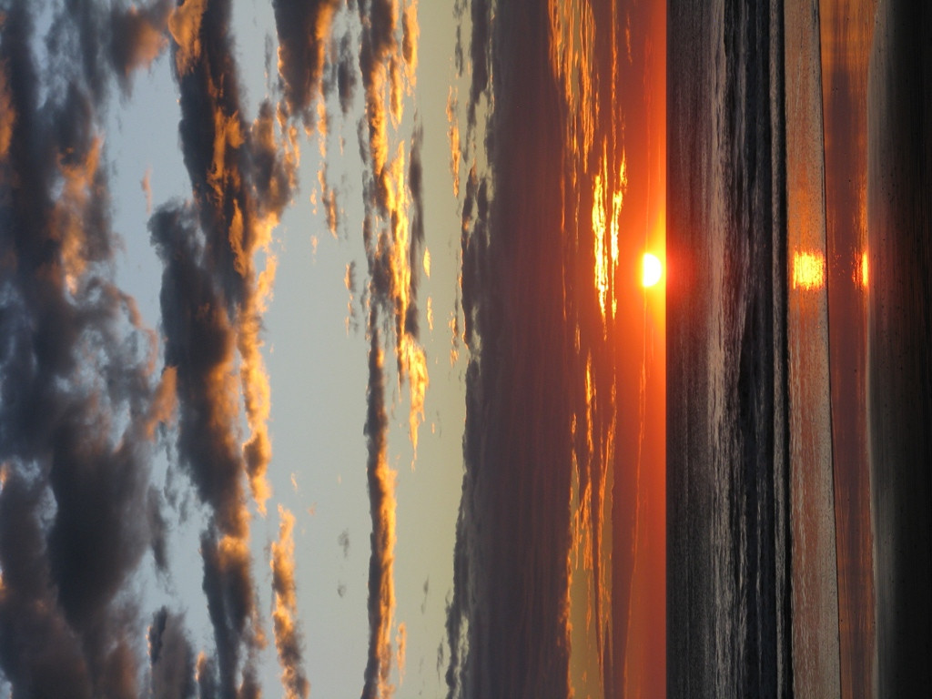 Las Baulas National Marine Park-大滩必去景点