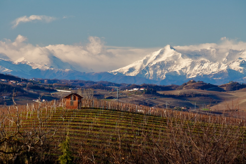Travel Langhe  Wine Tours-Neive必去景点