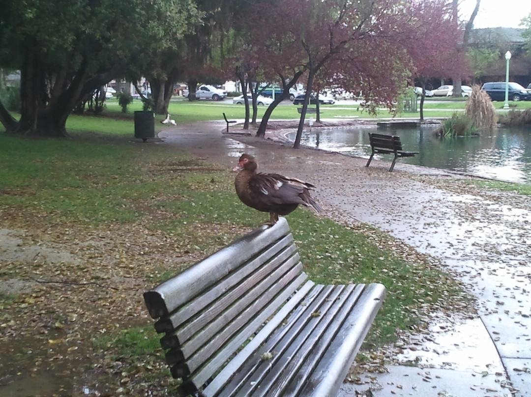 McKinley Park-沙加缅度必去景点