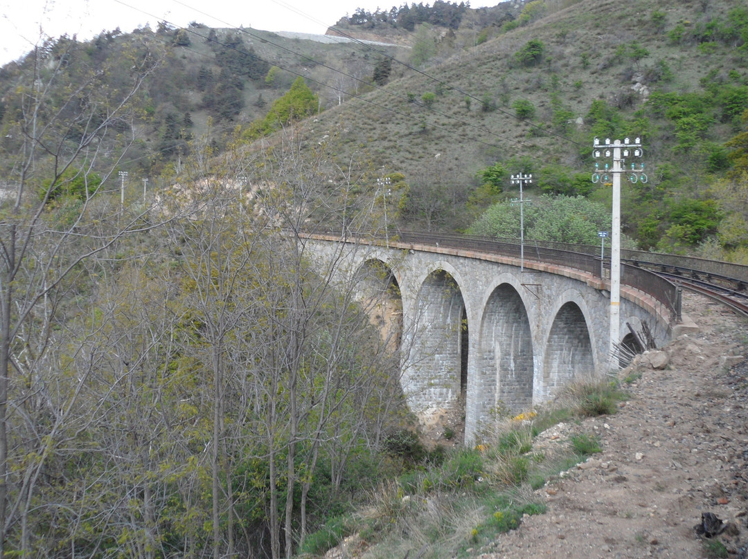 Le Train Jaune景点图片