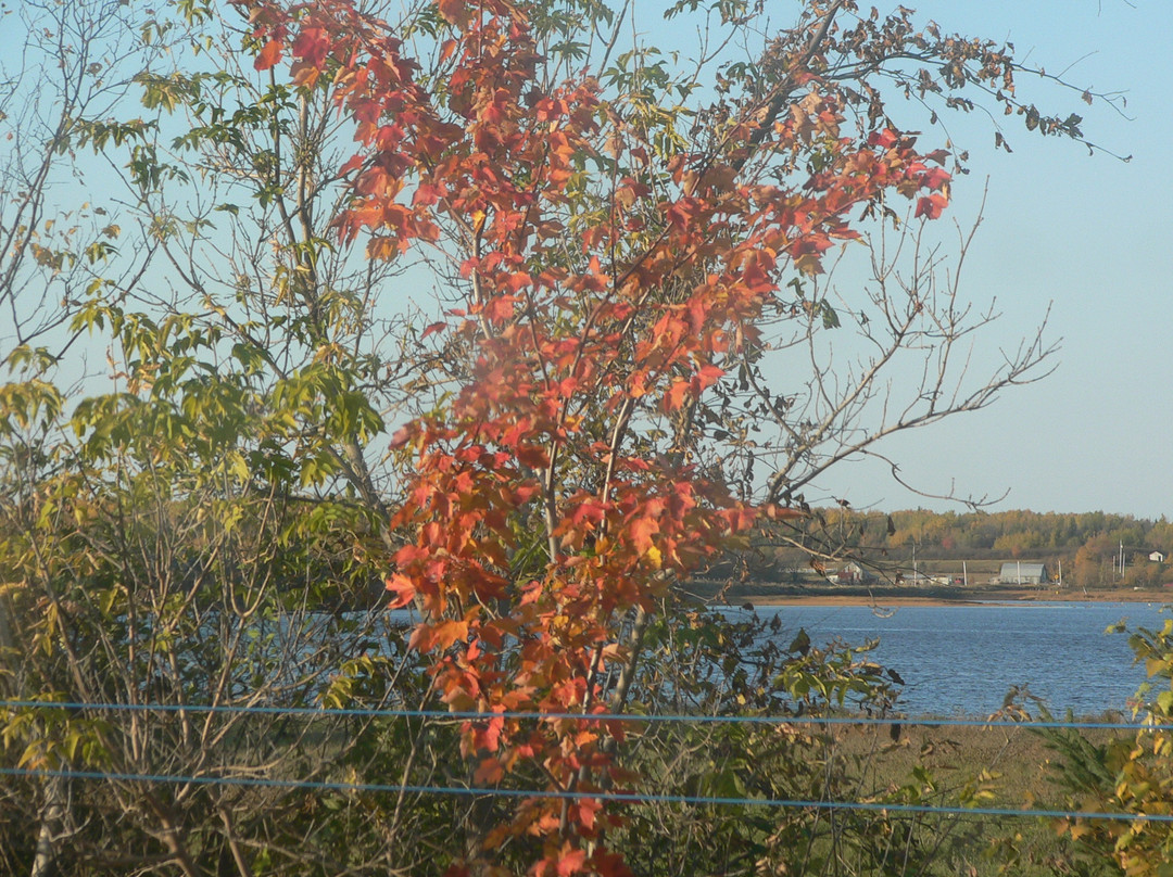 Jubilee Cottage Inn主图