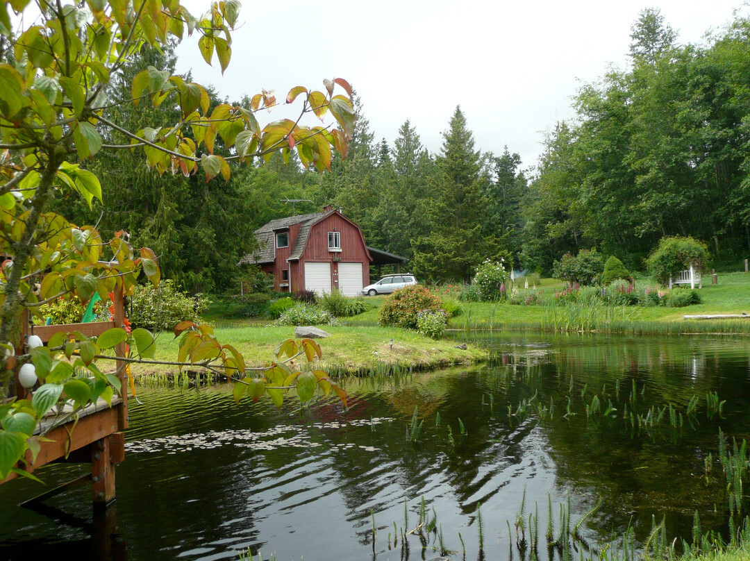 Nelson's Duckpond