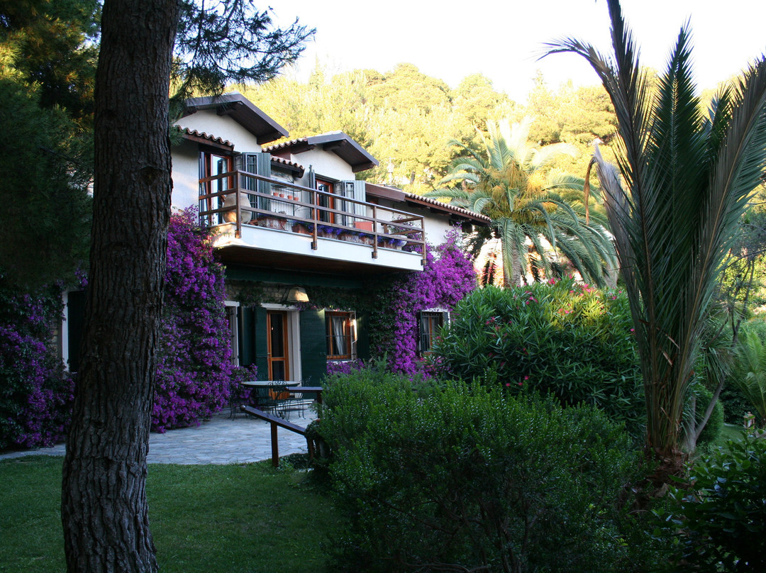 Bed and Breakfast Don Rodrigo