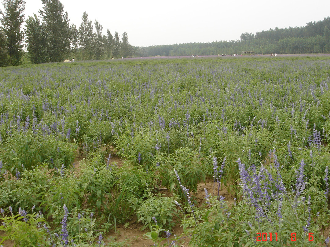布拉格农场-北京市必去景点