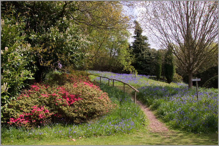 Riverhill Himalayan Gardens景点图片