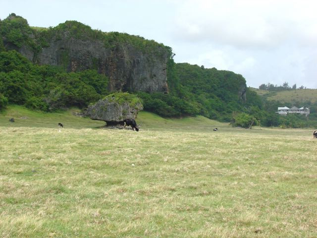 Island Safari Barbados-Saint Michael Parish必去景点